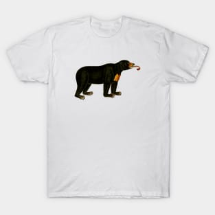 Bear T-Shirt